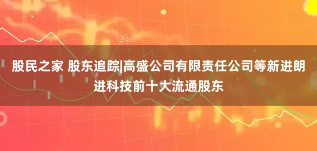 股民之家 股东追踪|高盛公司有限责任公司等新进朗进科技前十大流通股东