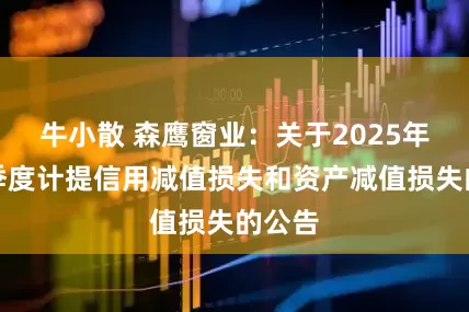牛小散 森鹰窗业：关于2025年前三季度计提信用减值损失和资产减值损失的公告