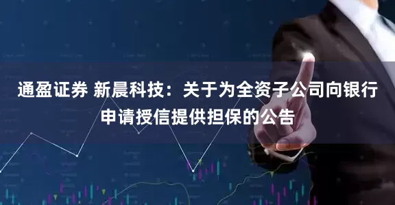 通盈证券 新晨科技：关于为全资子公司向银行申请授信提供担保的公告